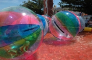 water balls2-gallery  